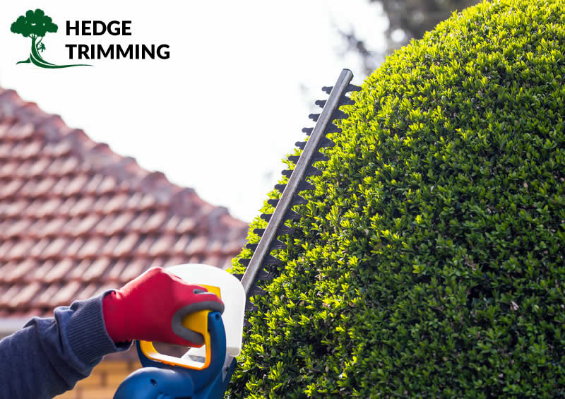hedge trimming in preston